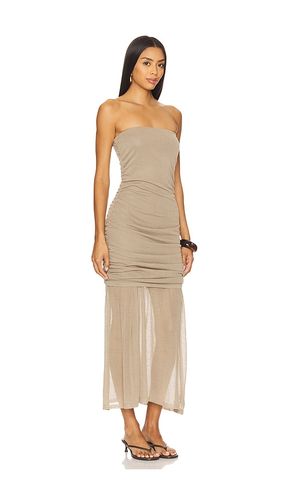 ROBE LULA en . Taille M. Also en L - Steve Madden - Modalova