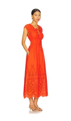 ROBE CLEMENTINA en . Taille M. Also en XL - Steve Madden - Modalova