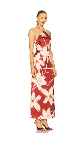 ROBE OAKLYN en . Taille 4. Also en 0, 2, 6, 8, 10, 12 - Steve Madden - Modalova