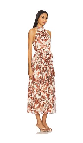 ROBE ROSEMARY en . Taille 0. Also en 2 - Steve Madden - Modalova