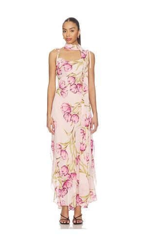 ROBE JAILA en . Taille 4. Also en 0, 2, 6, 8, 10, 12 - Steve Madden - Modalova