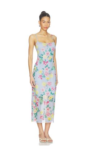 ROBE GISELLY en . Taille S. Also en XS, L - Steve Madden - Modalova