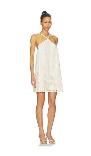 ROBE PETUNIA en . Taille L. Also en M, S, XL, XS - Steve Madden - Modalova