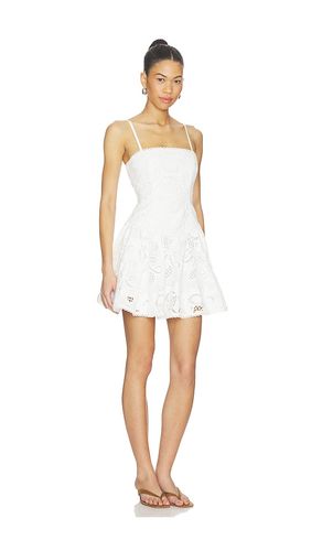ROBE GIADA en . Taille 4. Also en 2, 6, 8 - Steve Madden - Modalova