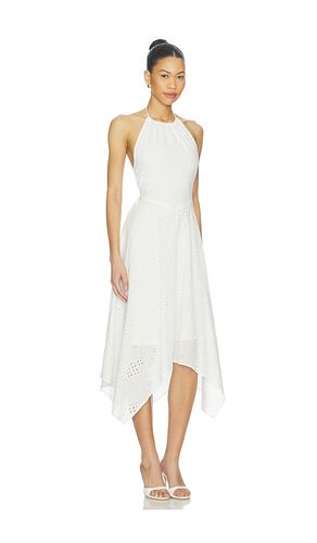 ROBE DALINA en . Taille L. Also en M, S, XL, XS - Steve Madden - Modalova