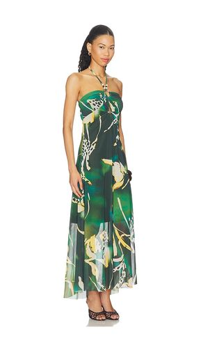 ROBE STRADA en . Taille S. Also en XS, M, L, XL - Steve Madden - Modalova