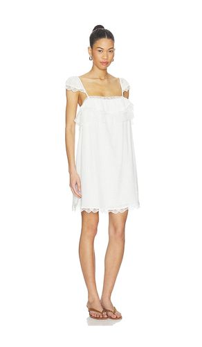 ROBE LETA en . Taille S. Also en XS, M, L, XL - Steve Madden - Modalova