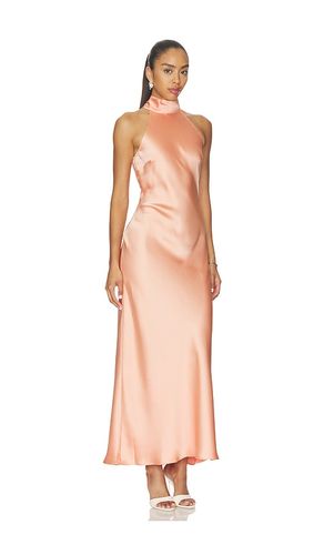 ROBE HALTER en . Taille XS. Also en S, L, XL - Steve Madden - Modalova