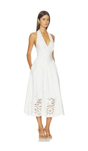 ROBE MARGIE en . Taille 2. Also en 8, 10, 12 - Steve Madden - Modalova