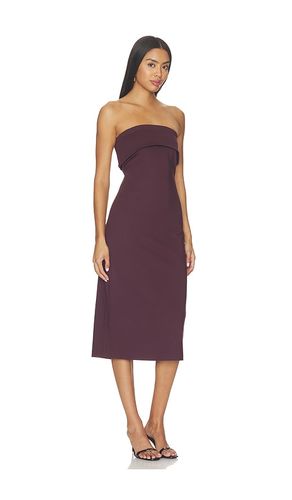 ROBE ROSLYNN en . Taille XS. Also en S, M, L, XL - Steve Madden - Modalova