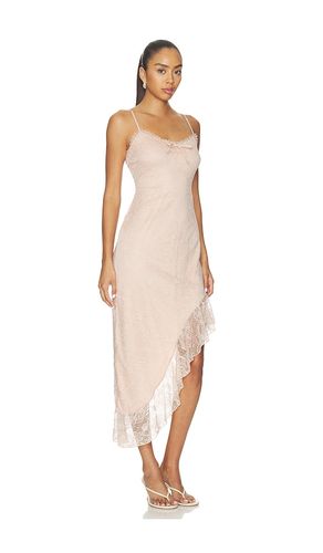 ROBE ANESA en . Taille XS. Also en S, M, L, XL - Steve Madden - Modalova
