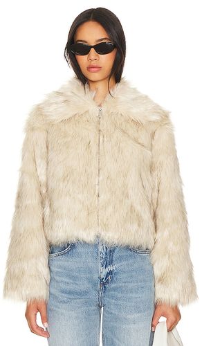 MANTEAU IMITATION FOURRURE JUNIPER en . Taille M. Also en XS, XL - Steve Madden - Modalova