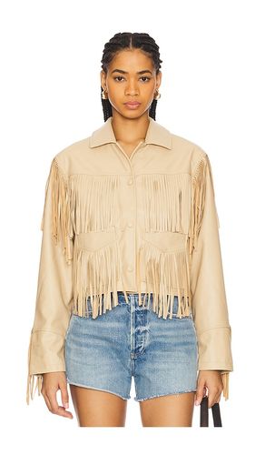 BLOUSON HALIA en . Taille L. Also en M, S, XL, XS - Steve Madden - Modalova
