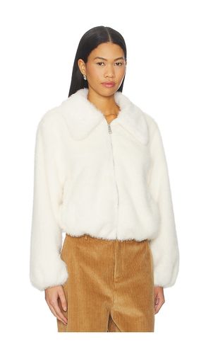 MANTEAU EVANIE en . Taille L. Also en M, S, XS - Steve Madden - Modalova