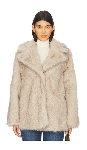 MANTEAU KINDRA en . Taille M. Also en L, XL - Steve Madden - Modalova