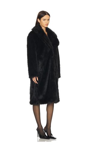 MANTEAU LARKIN en . Taille S. Also en XL - Steve Madden - Modalova