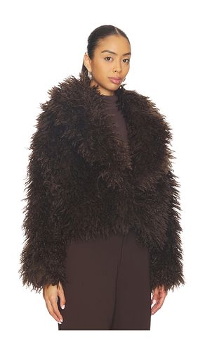 MANTEAU INAYA en . Taille S. Also en - Steve Madden - Modalova