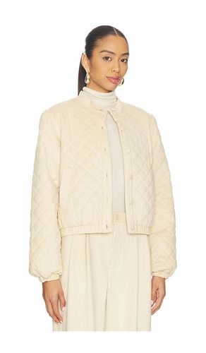 VESTE BRYLEE en . Taille S. Also en XS - Steve Madden - Modalova
