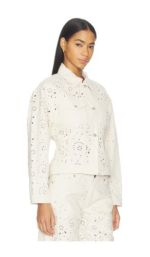 Henrietta Jacket en . Taille L. Also en M, XL - Steve Madden - Modalova