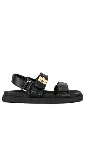 NU-PIED MONA in . Size 7, 7.5, 8, 9 - Steve Madden - Modalova