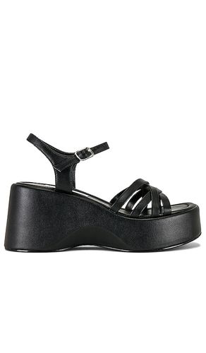 SANDALES CRAZY30 in . Size 9, 9.5 - Steve Madden - Modalova