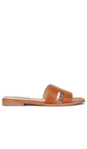 NU-PIED HADYN en . Taille 6. Also en 7, 8.5 - Steve Madden - Modalova