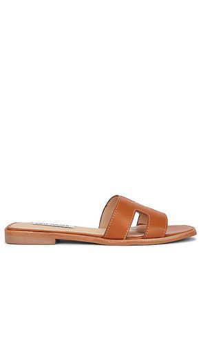 NU-PIED HADYN in . Size 6.5, 7, 7.5 - Steve Madden - Modalova