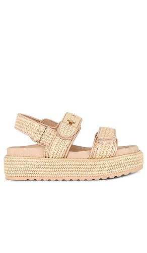 AVEC PATIN MONA in . Size 7, 7.5, 8, 8.5, 9.5 - Steve Madden - Modalova