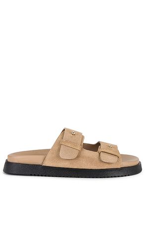 SANDALES MAURIEL in . Size 7.5, 8.5, 9.5 - Steve Madden - Modalova