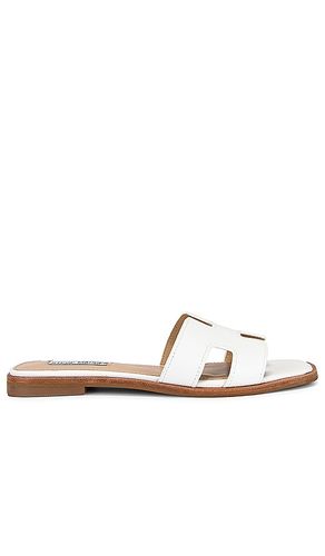 SANDALES HADYN en . Taille 6. Also en 7.5, 8, 5.5 - Steve Madden - Modalova