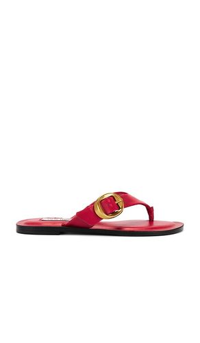 SANDALES RAYS en . Taille 6. Also en - Steve Madden - Modalova