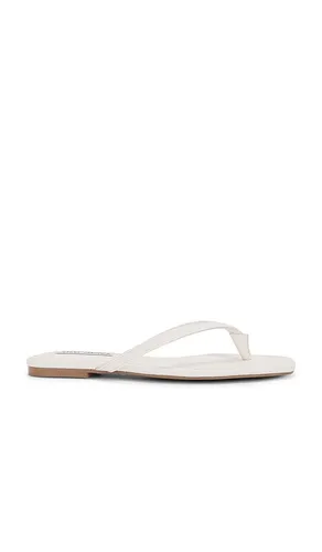 TONGS MARNIE in . Size 9 - Steve Madden - Modalova