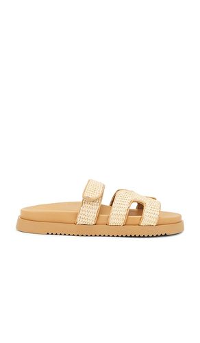 SANDALES MAYVEN in . Size 8.5 - Steve Madden - Modalova