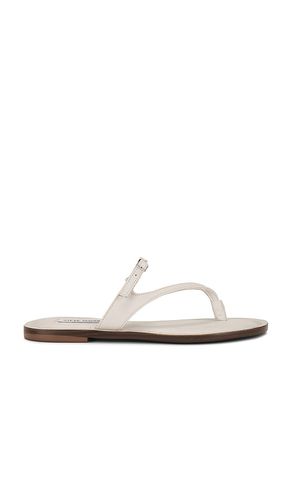 SANDALES ROCA en . Taille 10. Also en 6 - Steve Madden - Modalova