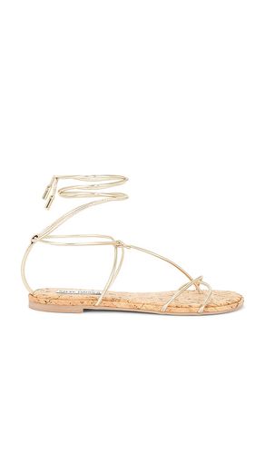 SANDALES PORSHA en . Taille 10. Also en 5.5, 6, 6.5, 7, 7.5, 9 - Steve Madden - Modalova