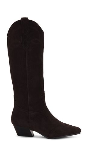 BOTTINES DOLLIE in . Size 8 - Steve Madden - Modalova