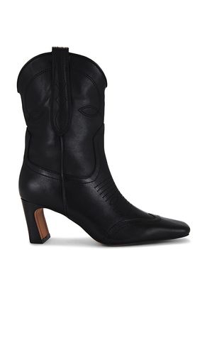 BOTTINES JOSEFINE in . Size 6, 8, 8.5, 9.5 - Steve Madden - Modalova