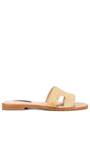 SANDALES HADYN en . Taille 6. Also en 9, 9.5 - Steve Madden - Modalova