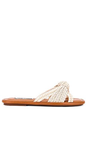 SANDALES KANDACE in . Size 8.5 - Steve Madden - Modalova