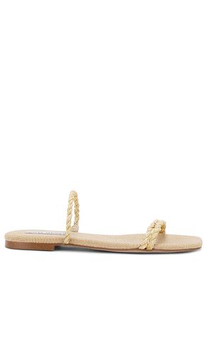 SANDALES MAYVEN in . Size 6, 8.5, 9.5 - Steve Madden - Modalova