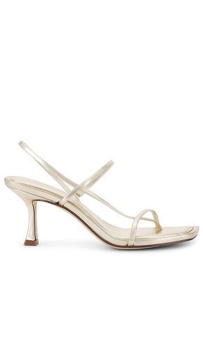 ESCARPINS LOCKE en . Taille 10. Also en 5, 6.5, 7, 7.5, 8, 8.5, 9, 9.5 - Steve Madden - Modalova