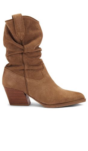 BOTTINES TAOS in . Size 5 - Steve Madden - Modalova