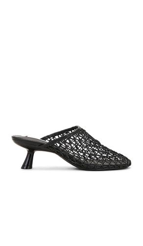 SANDALES XRAY in . Size 6, 6.5, 7.5, 8, 8.5, 9, 9.5 - Steve Madden - Modalova