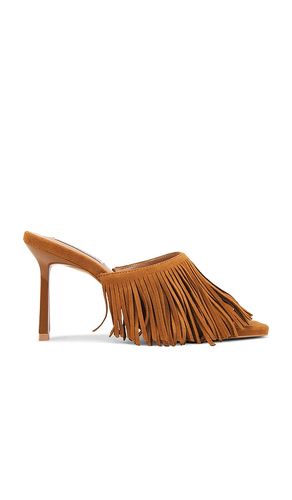 SANDALES MORINA en . Taille 6.5. Also en - Steve Madden - Modalova