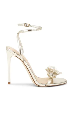 ESCARPINS SHEILA in . Size 9 - Steve Madden - Modalova