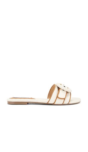 Merla Slides in . Size 11, 5, 6, 6.5, 7, 7.5, 8, 8.5, 9, 9.5 - Steve Madden - Modalova
