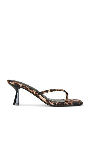 SANDALES ALLIES en . Taille 6.5. Also en 8 - Steve Madden - Modalova
