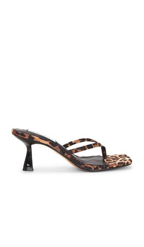 SANDALES ALLIES in . Size 5.5, 8, 8.5, 9.5 - Steve Madden - Modalova