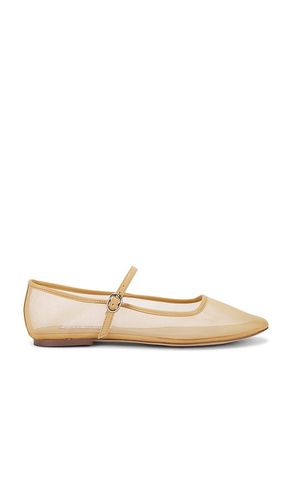 Maple Mary Jane Flat in . Size 6, 7.5, 8.5, 9.5 - Steve Madden - Modalova