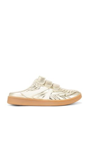 SNEAKERS SANS LACETS MAGIK en . Taille 6. Also en 7, 7.5, 8 - Steve Madden - Modalova